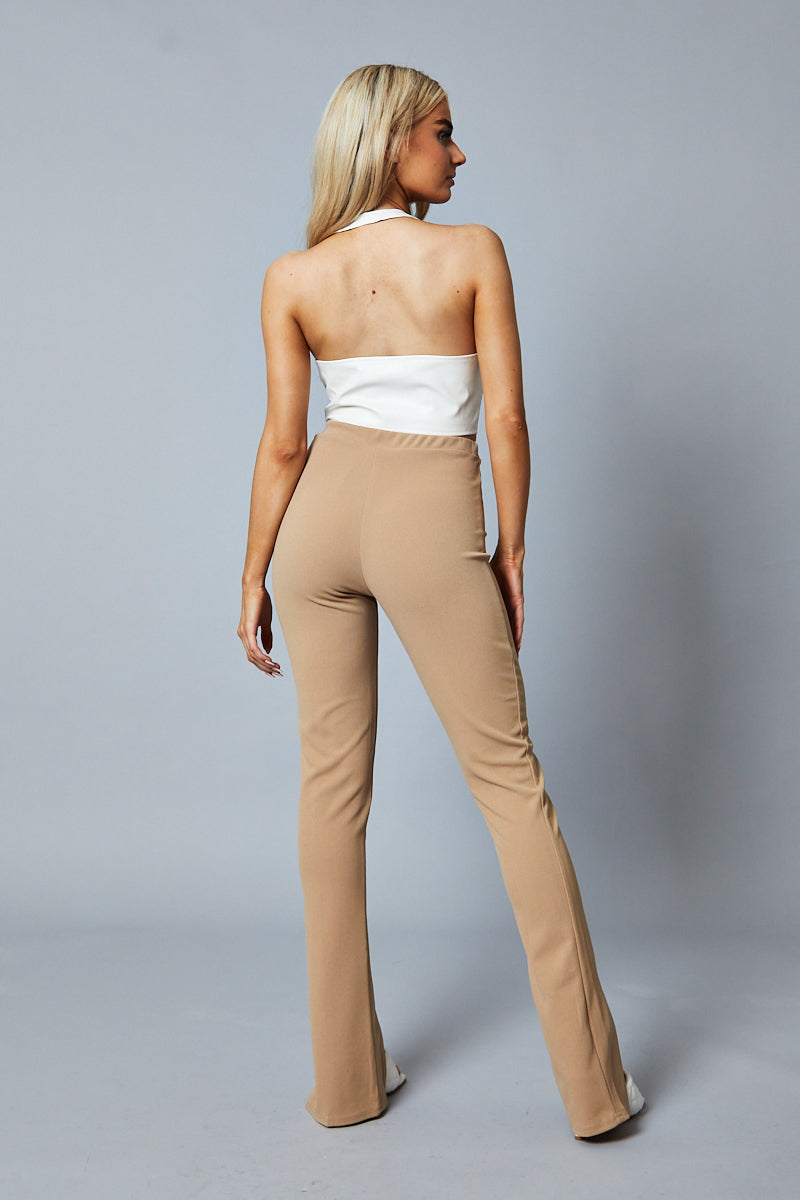 color_Camel